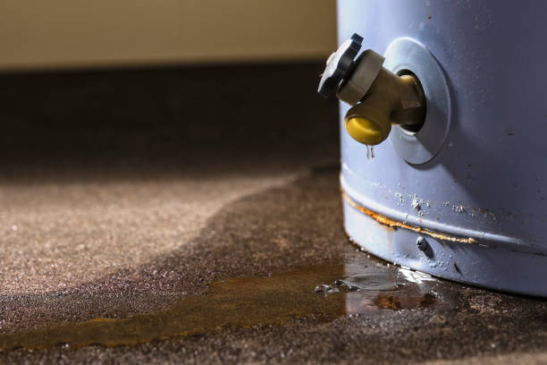 Best Basement water damage restoration  in Helena West Helena, AR
