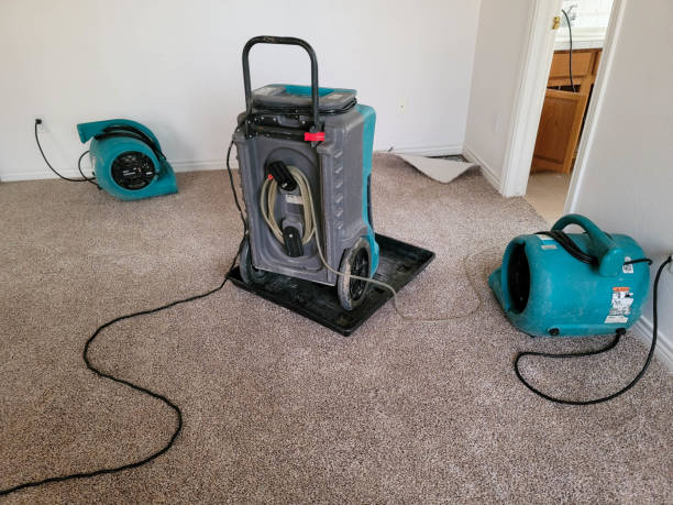 Professional Water damage restoration in Helena West Helena, AR