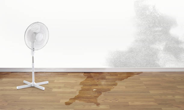 Best Residential water damage restoration  in Helena West Helena, AR