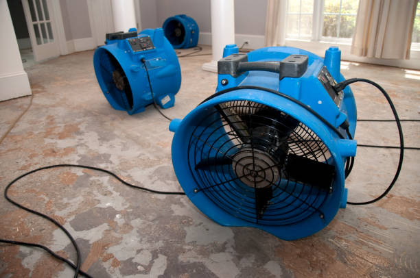 Best Fire Damage Restoration  in Helena West Helena, AR