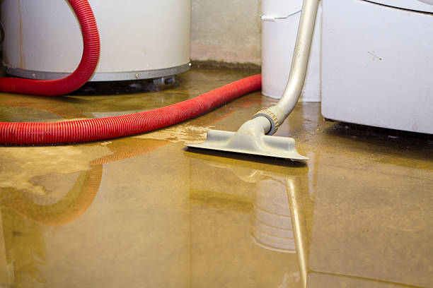 Best Flood restoration services  in Helena West Helena, AR